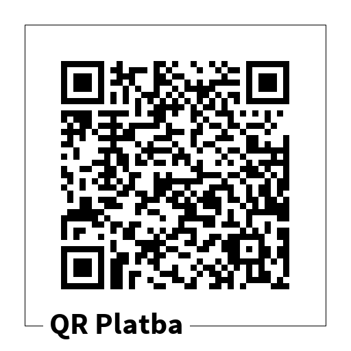 qr payment